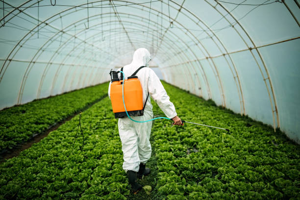 Best Best Pest Control Companies  in Trenton, GA