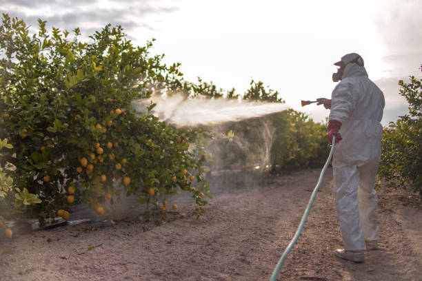Best Affordable Pest Control Services  in Trenton, GA