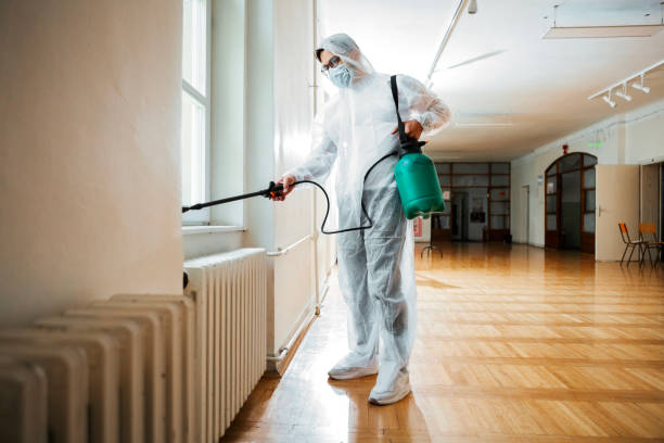 Best Flea Control Services  in Trenton, GA