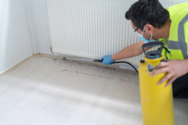 Best Emergency Pest Control  in Trenton, GA