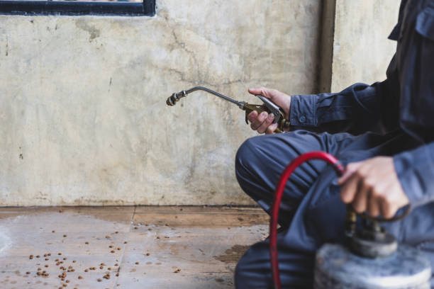 Best Exterminator Services  in Trenton, GA
